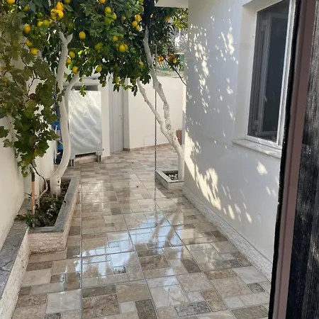 Lemon Orange Tree&grape Vine ヴィラ