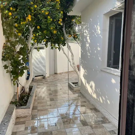别墅 Lemon Orange Tree&grape Vine