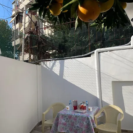 Lemon Orange Tree&grape Vine * 地拉那